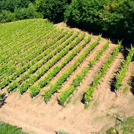 Farmház Le Cantine